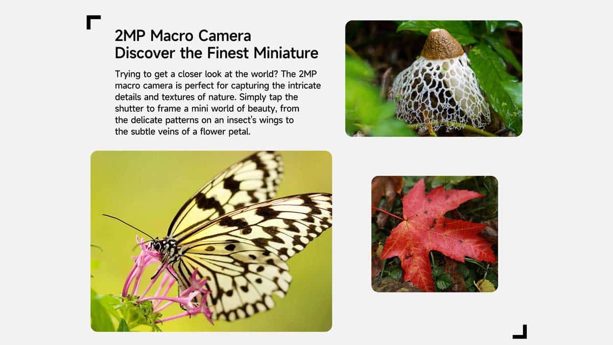 RugKing 3 Pro product feature graphic 23